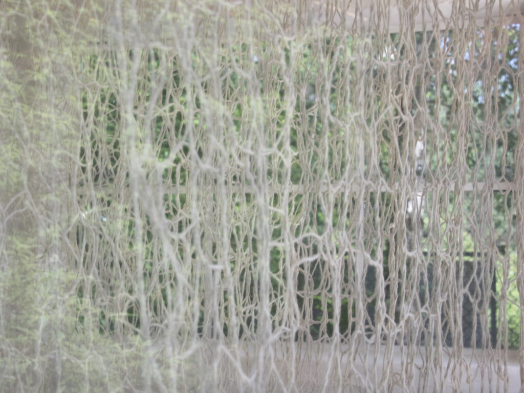 Detail der Ausstellung von Jennifer Eckert