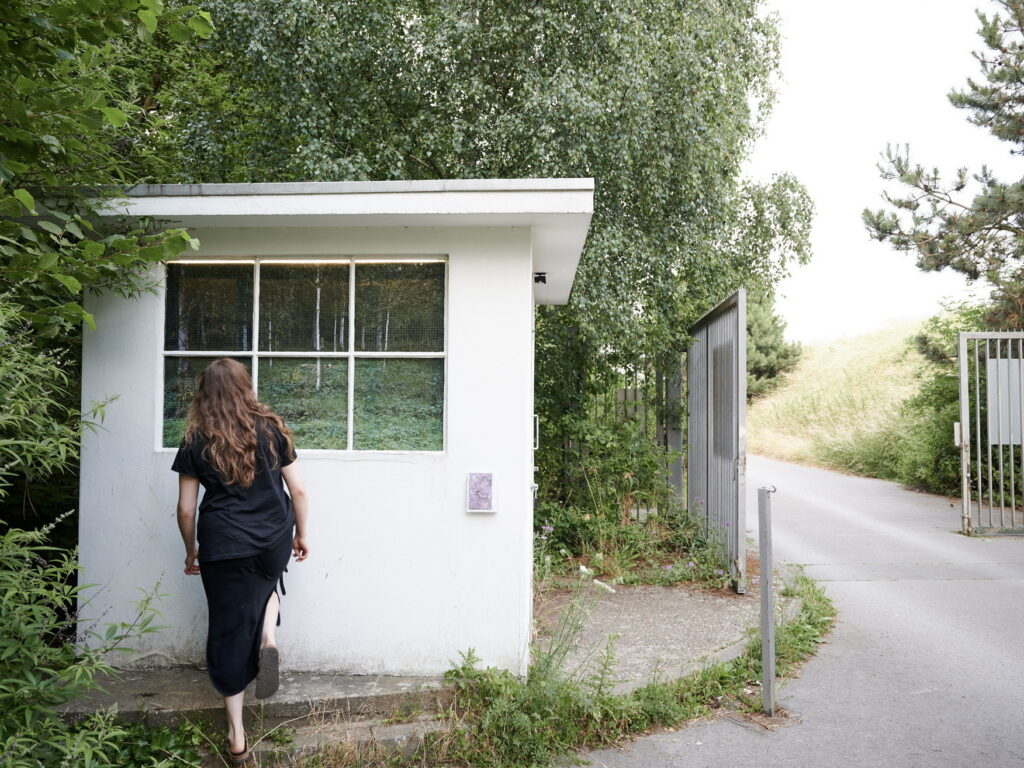 Ausstellungsansicht „Heimat"