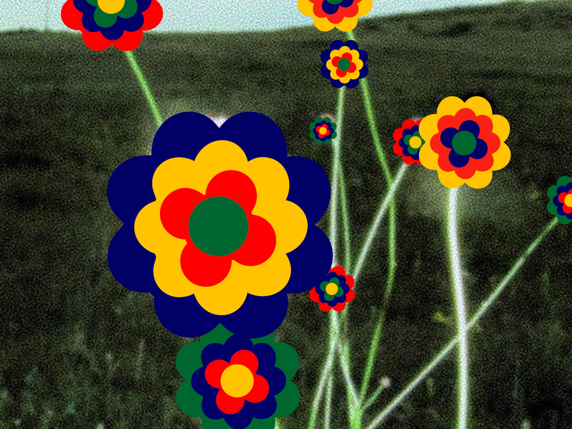 Was für Blumen